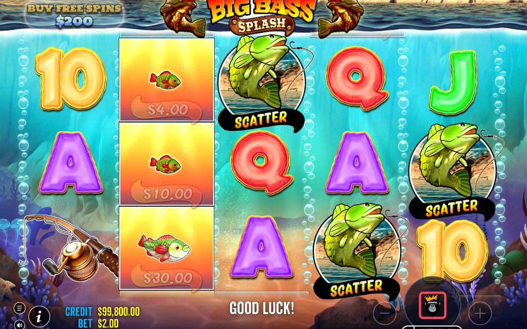 Counter and collection multiplier level during Free Spins